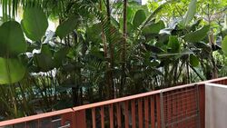 Riverfront Residences (D19), Apartment #628870531